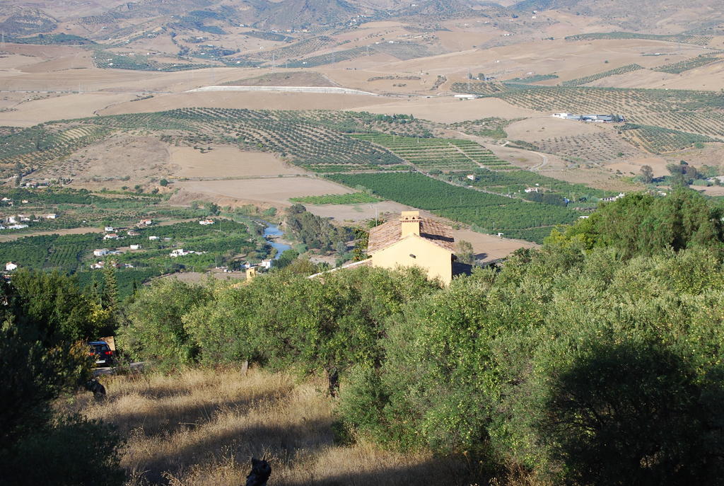 Hidden Valley Andalucia อะโลรา ภายนอก รูปภาพ